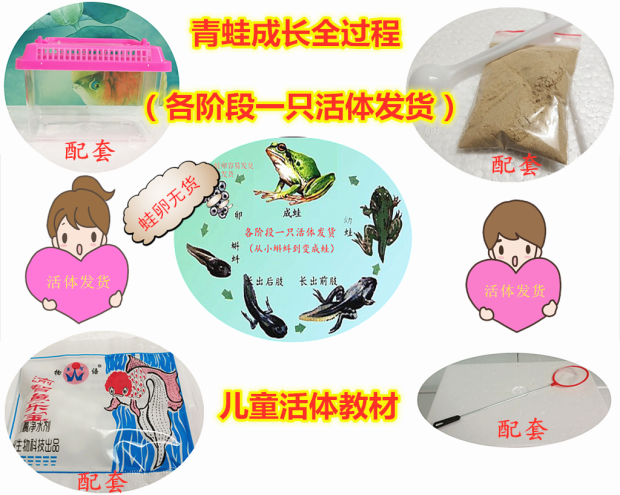 特百惠套裝活體蝌蚪青蛙苗優質兒童水族寵物料氧袋泡沫箱運輸包郵在類目 寵物/寵物食品及用品, 水族世界, 其它水族寵物中 - 來自Buy2taobao.com提供專業的淘寶代購服務