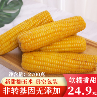 【10根】2025甜糯玉米黄糯东北特产真空粘苞米棒鲜香黏粗粮非白黑