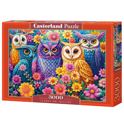 Castorland巧思进口拼图3000片花主题的猫头鹰集会300723