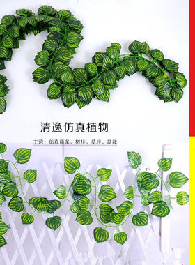 仿真藤条藤蔓吊顶装饰田园西瓜叶