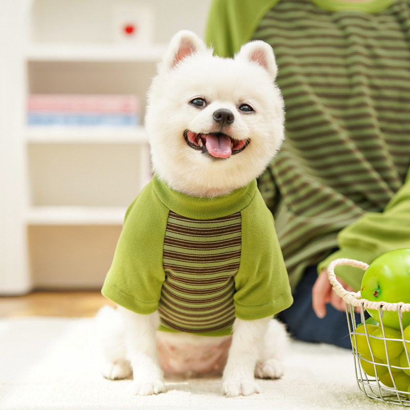 宠物四脚打底衫小狗四脚衣服加绒狗春秋衣服小猫泰迪比熊韩系衣服