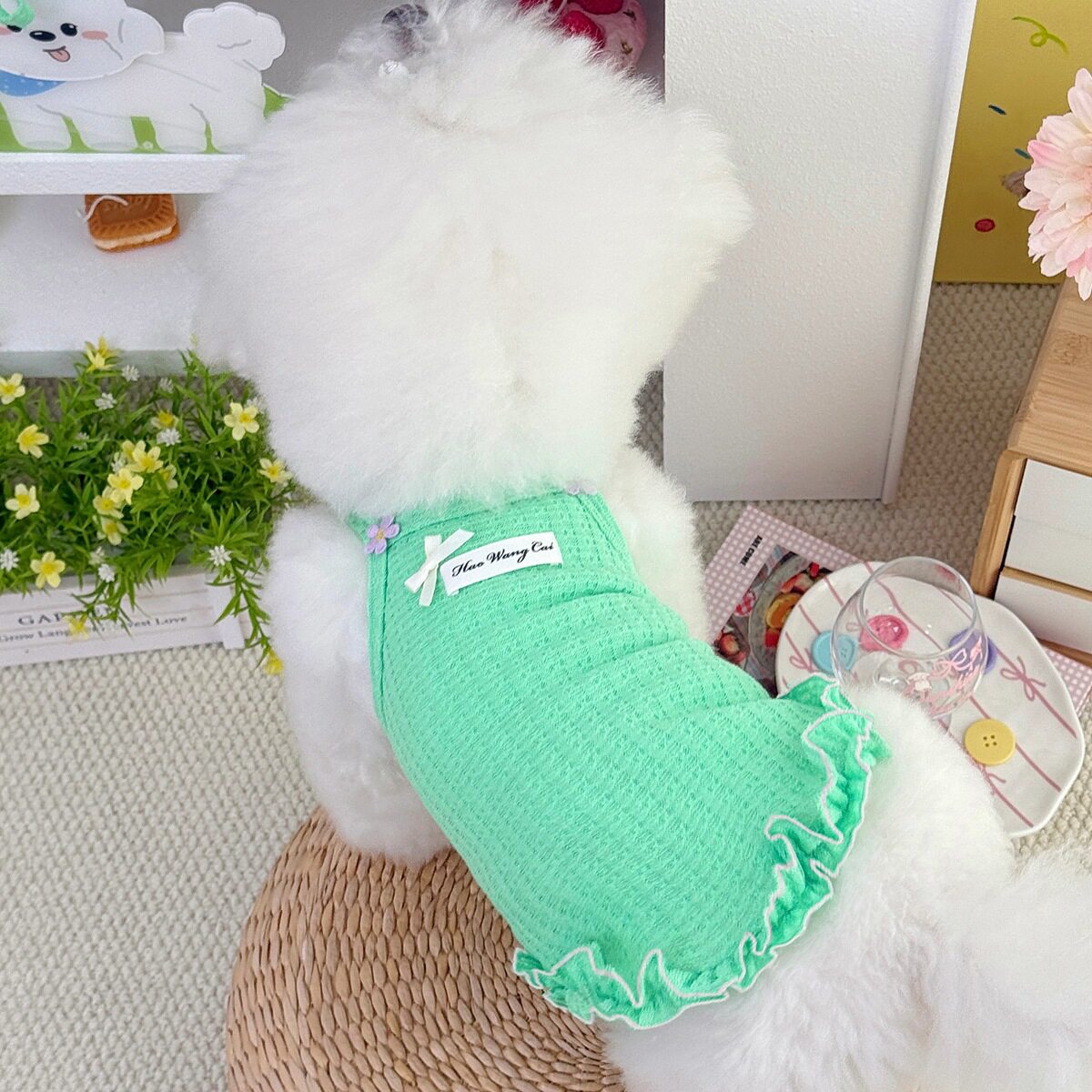 小狗狗春装棉质吊带背心猫咪春夏薄款衣服泰迪比熊多巴胺洋气衣服