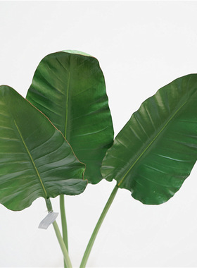 北欧仿真植物手感鹤望兰叶室内家居装饰软装插花摆件摄影道具假花