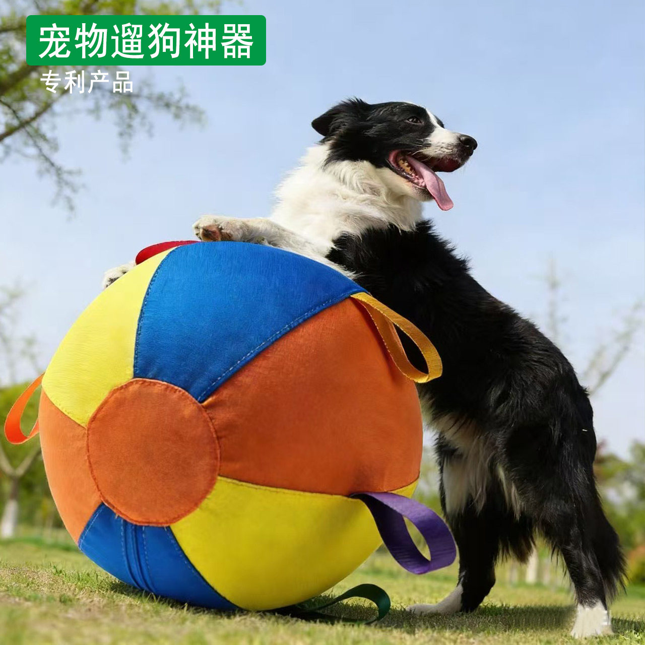 【送打气筒】大狗巨型玩具球金毛边牧狗球耐咬解闷球逗柯基宠物球