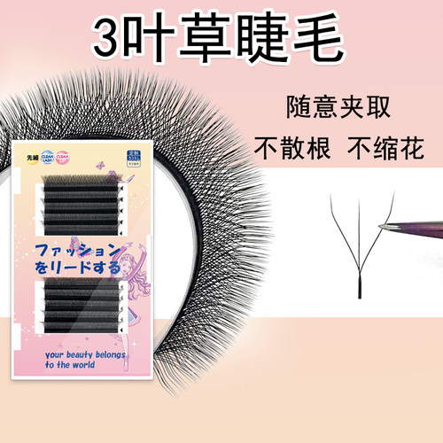 3叶草睫毛嫁接细软不散根