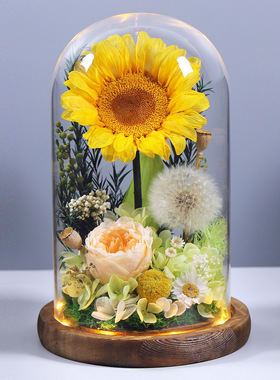 向日葵永生花蒲公英真花礼盒家居桌面摆件送老师同学创意礼物跨境