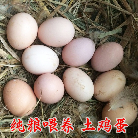 农家散养粮食土鸡蛋新鲜月子蛋