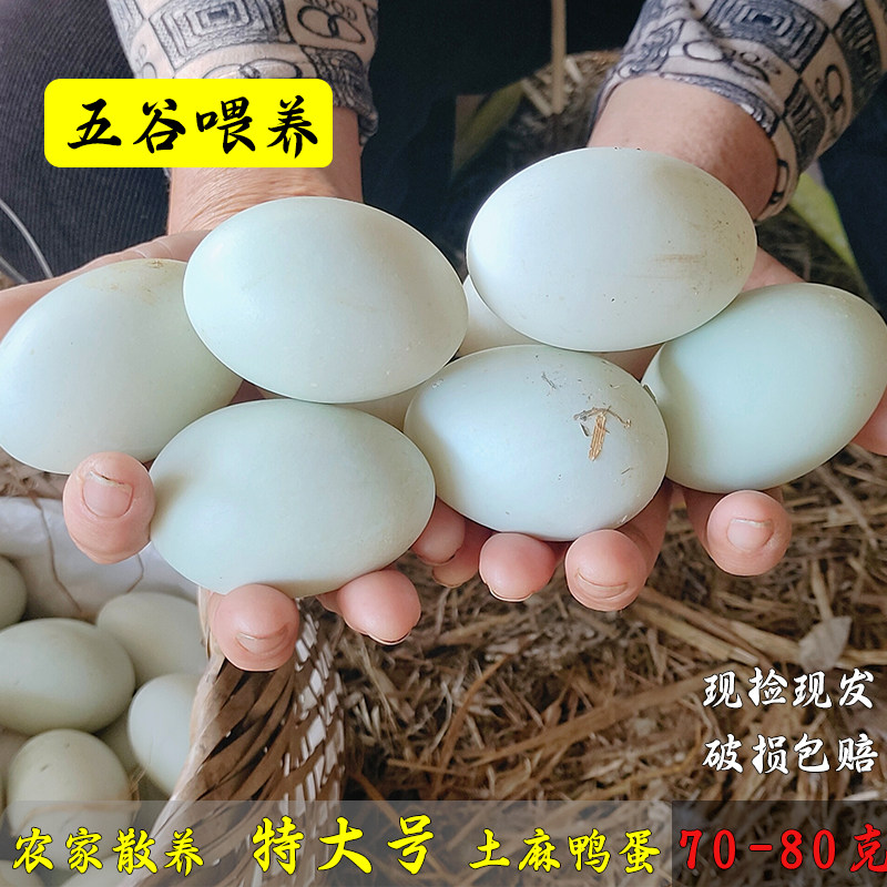 特大号土鸭蛋四川正宗粮食土鸭蛋
