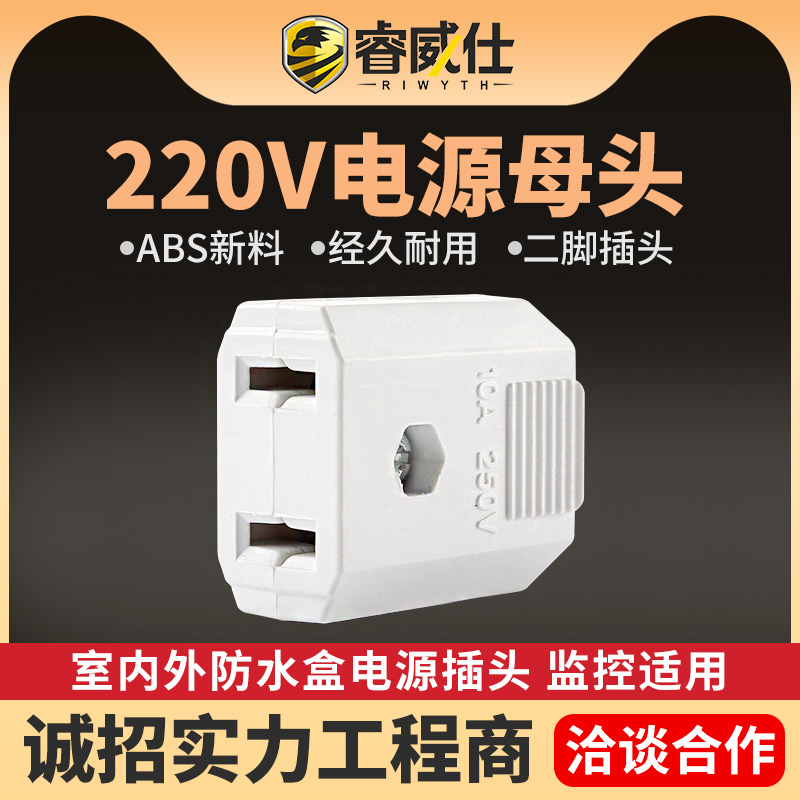 睿威仕二脚母插头220v安防插座