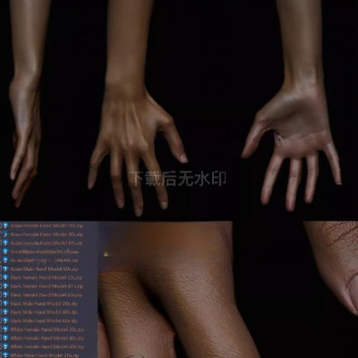 zbrush 18组高精度手臂扫描模型写实角色ztl3Dzb