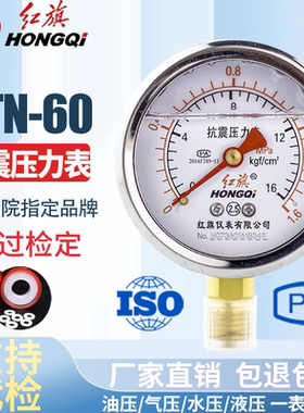 红旗仪表 耐震防震抗震压力表YTN-60 0-1MPa充油压力表 真空表