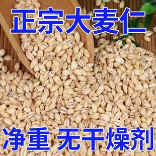 去皮麦仁大麦仁新粮去壳麦香味农家种杂粮五谷粗粮批发八宝粥原料