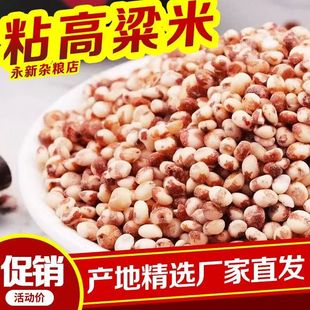 粘糯红高粱米东北粘米新米新鲜年糕汤圆粽子米红高粱去皮糖尿人