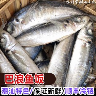 巴浪鱼饭1斤潮州小吃潮汕特产美食打冷鱼饭熟鱼巴郎鱼饭早餐杂咸