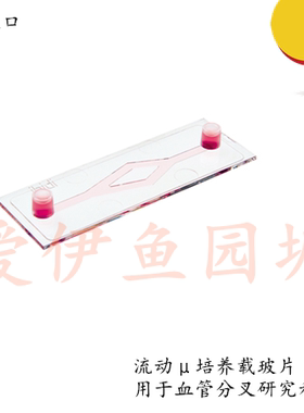 IBIDI μ-Slide Y通道培养载玻片80126/80121 Y通道培养载玻片