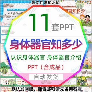 认识身体器官知多少PPT模板医疗医学儿童了解人体器官结构知识wps