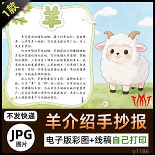 动物羊介绍手抄报羊年羊儿山羊绵羊简介电子小报黑白线稿图片素材