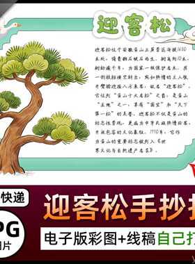 迎客松介绍电子小报图片海报科普知识迎客松简介手抄报图卡名片A4