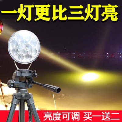 鲫鱼夜钓灯钓鱼灯激光野钓超亮12VLED灯黑坑大功率蓝光暖光诱鱼灯