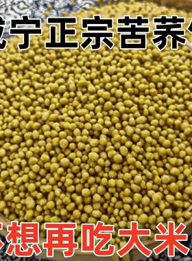 贵州威宁纯苦荞饭苦荞米荞麦米新米荞麦饭疙瘩饭乔米糖人控糖主食