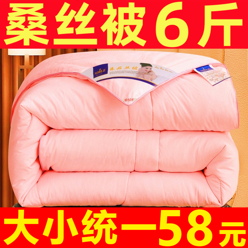 加厚保暖100%长丝棉被子被芯冬季