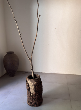 古木禅意空间装饰枯木朽木干花桶老物件收藏摆件朽木26119