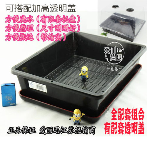 爱丽思托盘s-5多肉叶透明盖