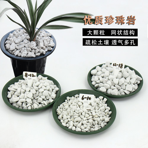 园艺大颗粒基质蕙兰栽培珍珠岩