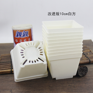 福利款仓库出清绝版特惠出花盆透明盖育苗箱叶插盆