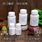 正品 粗粒可选不烧根 进口长效魔肥缓释肥多肉绿植兰花便利肥料细