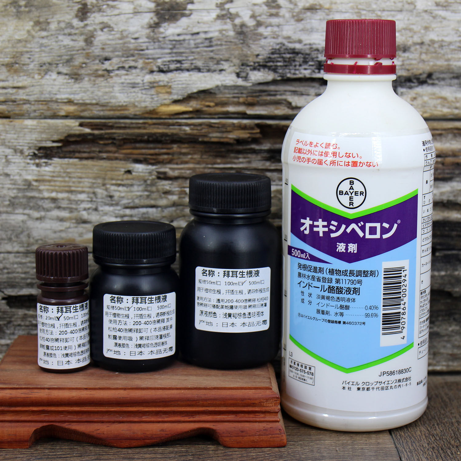 日本产拜耳生根液植物通用发根杜鹃兰花月季扦插松柏多肉龙舌兰