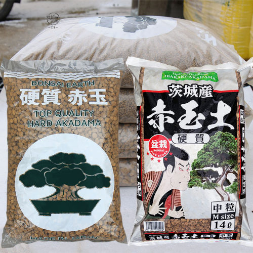 日本硬质多肉盆景种植久谷赤玉土