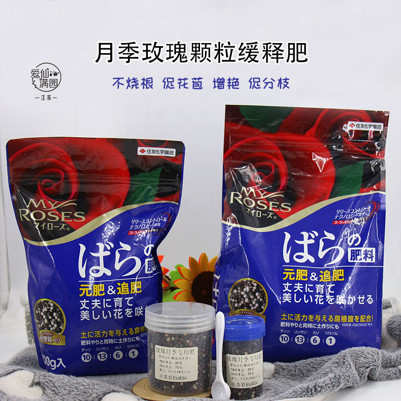 欧月进口月季价格 欧月进口月季图片 星期三