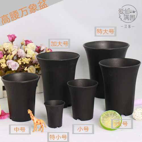 经典圆口黑色白色万象盆多肉球类用磨砂盆优质高腰盆实用塑料花盆