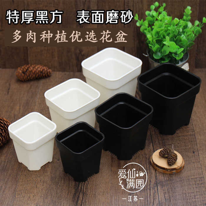 店长推荐热卖多肉花盆方盆塑料简约特厚黑白盆五个型号景天仙人球,鲜花速递/花卉仿真/绿植园艺,花盆,淘宝优惠券,粉丝福利购,淘宝优惠卷