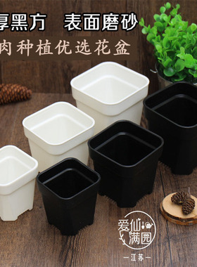 店长推荐热卖多肉花盆方盆塑料简约特厚黑白盆五个型号景天仙人球