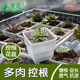 美莳方形控根多肉花盆长托盘两色多尺寸入增根透气透水不烂根种植