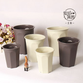 新品 适合根系深 台湾万象旋风盆 多肉十二卷玉露寿仙人球用