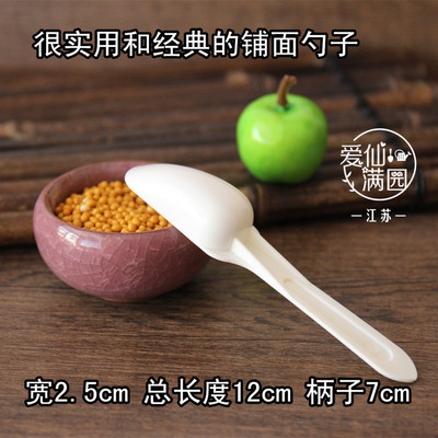 江苏爱仙满园 多肉铺面勺子 药剂粉剂计量工具 方便取药 新手需备