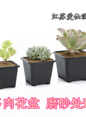 掌柜推荐方口磨砂花盆 多肉花盆 多肉植物花盆方形黑色花盆