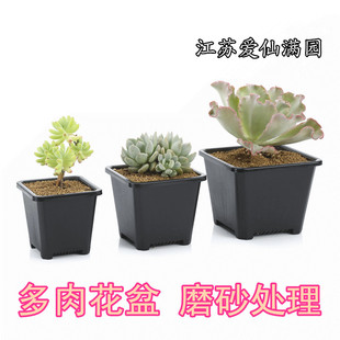多肉花盆 特價 掌柜推薦 方口磨砂花盆 多肉植物花盆方形黑色花盆