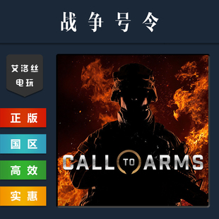 steam平台 中文正版联机游戏 战争号令 战争召唤 Call to Arms