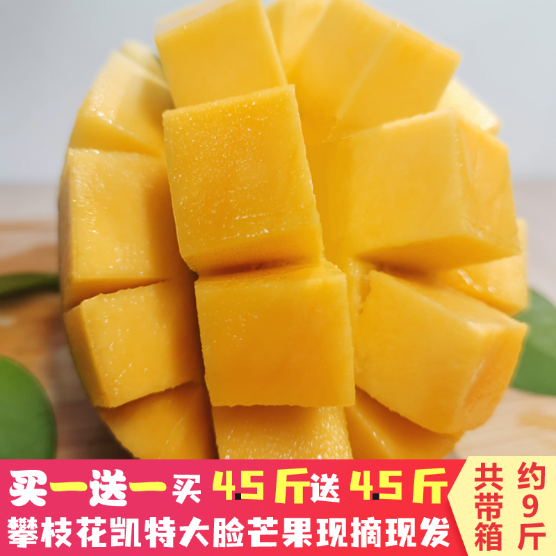 正宗攀枝花凯特芒果新鲜水果大脸芒果整箱9斤装应季水果爆甜多汁