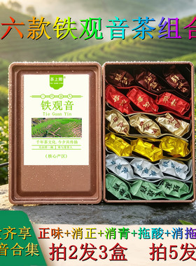 新茶6款试喝铁观音茶叶125g盒装