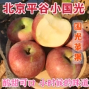 苹果北京平谷区正宗老树小国光苹果酸甜可口小时候 水果 味道当季