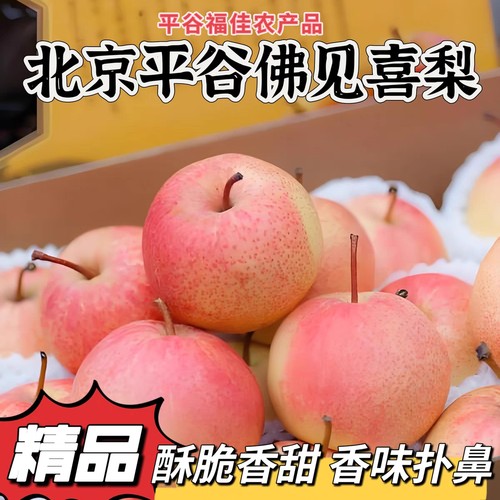 梨北京平谷区佛见喜梨果园直销当季新鲜苹果梨孕妇水果贡梨一整箱