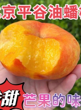 黄油蟠桃正宗北京平谷鲜桃黄肉无毛大蟠桃当季孕妇水果香甜礼盒装