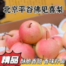 梨北京平谷区佛见喜梨果园直销当季 新鲜苹果梨孕妇水果贡梨一整箱