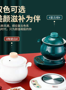 全自动迷你电炖煲电炖锅分体家用
