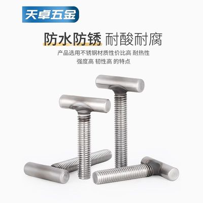 不锈钢T型螺钉M4M5M6M8